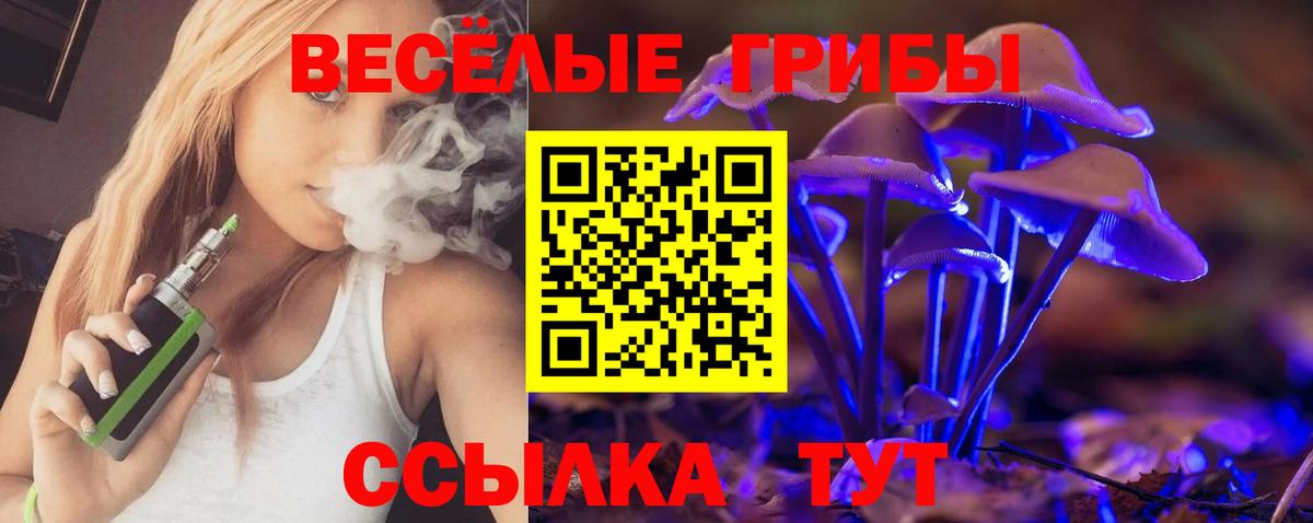Мичуринск  Галлюциногенные грибы ЛСД  дарнет шоп  Вход с VPN 