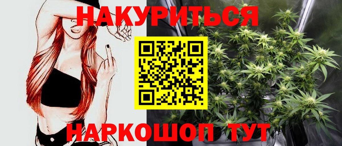 Шишки марихуана план  МАРИХУАНА Ganja  Мичуринск  Бошки марихуана White Widow  Вход с VPN  Бошки Шишки OG Kush 